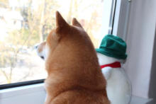 Wir warten auf Schnee