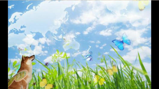 Butterfly, Butterfly...