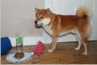 Geschenke