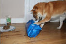 Was mag da drin sein?