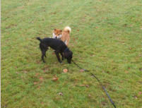 Hey Nandi! Wollen wir spielen?