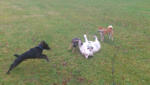 Alle auf Balou!!!