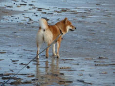 Mein Strand