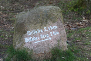 Halbzeit auf dem Weg zum Ziel