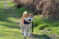 Wandern in der Rostocker Heide