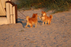 Süß wie Mama und Tochter spielen