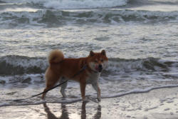 Kleine Erfrischung im Meer