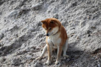 Sitze hier irgendwie wie Eiji