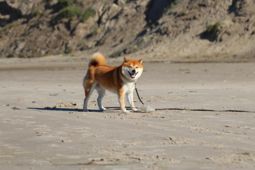 Ankomst!!! Endlich Urlaub, endlich Dänemark, endlich Strand!